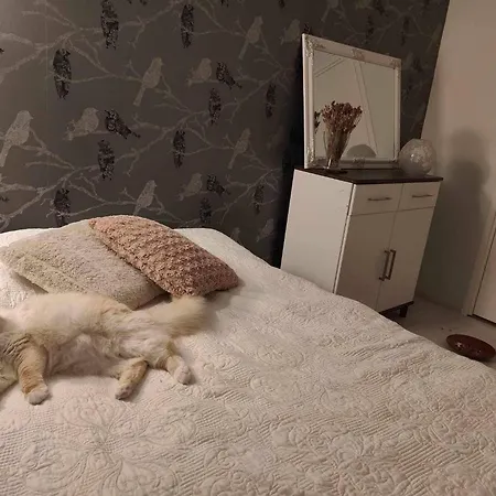 Cozy Forest Retreat In - Perfect For Families Work Trips